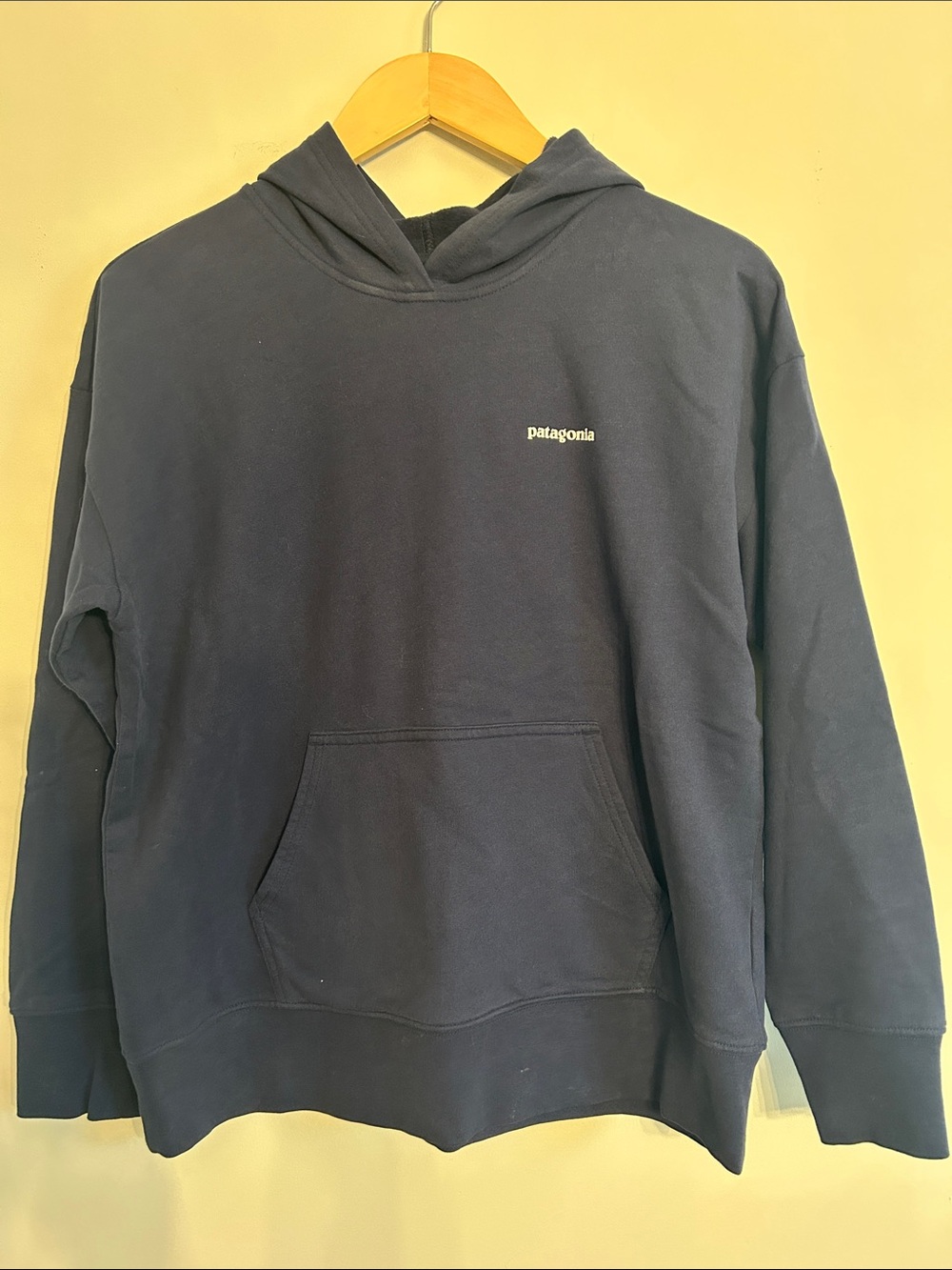 Patagonia Navy Blue Pullover Hoodie with Small Chest Logo